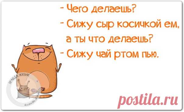 Позитивные фразки в картинках 
 



 

 

 

 

 

 

 

 

 

 

 

 

 

 

 

 

 

 

 

 

 

 

 

 

 
http://www.radionetplus.ru/izobrazhenija/zabavnye_foto/57330...
