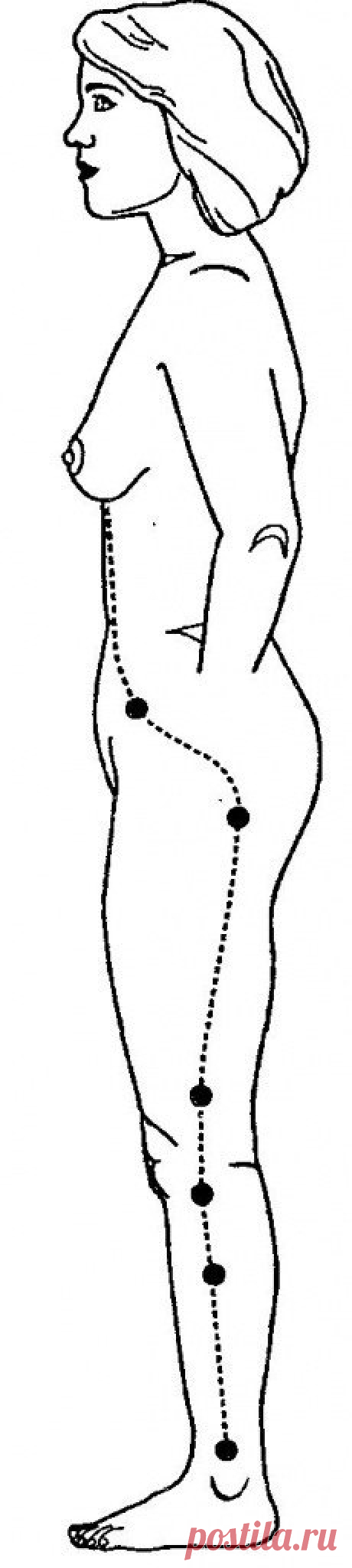 cFYpli6MwQQ.jpg (230×1024)