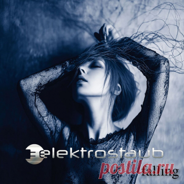 Elektrostaub - Falling EP (2025) 320kbps / FLAC