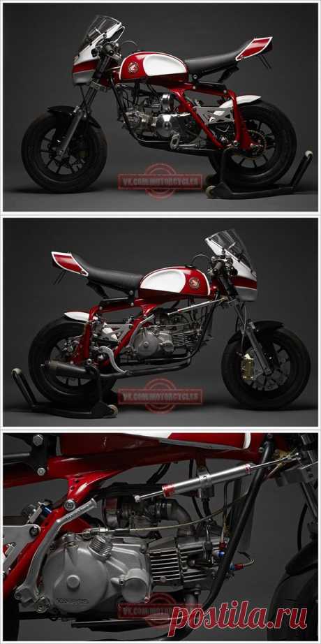 Bikers Life - Honda Z50A - 50 Magnum.