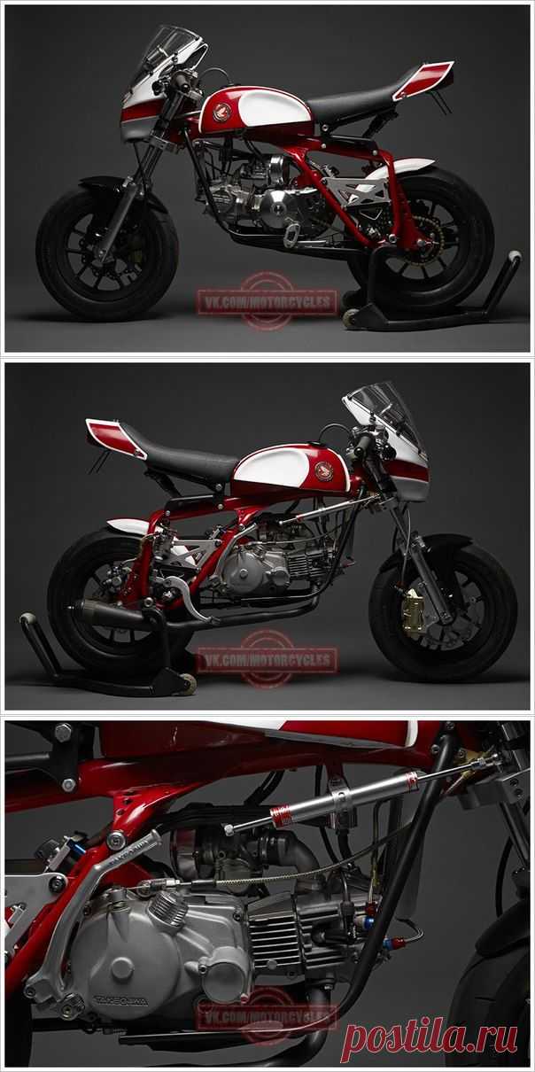 Bikers Life - Honda Z50A - 50 Magnum.