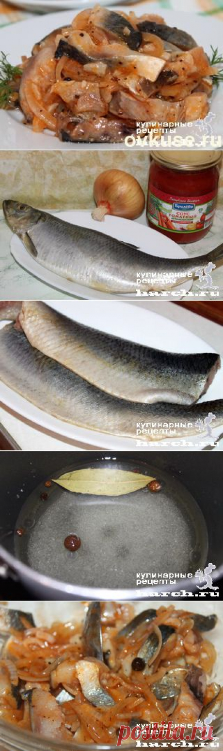 Маринованная сельдь «Пузанок» - Простые рецепты Овкусе.ру