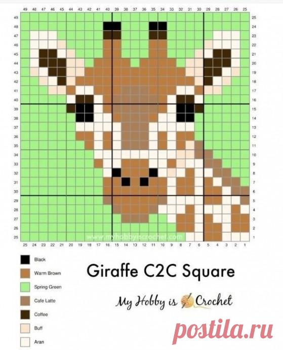 Схемы для вязания симпатичного жаккарда