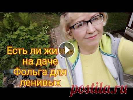 Дача/.Была в гостях/Фольга на плите для ленивых #дача#сад#огород#участок#загородный#гости#деньрождение#теплица...
