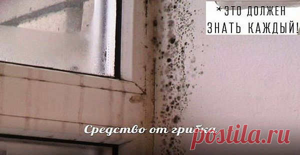 Это должен знать каждый !!! Как избавится ОТ ГРИБКА навсегда? нужно в мисочку налить стакан горячей | Узнал сам - расскажи другому.