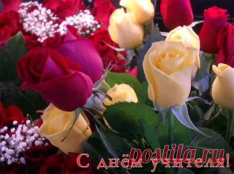 С днем Учителя! | ДОСТОЙНАЯ ЖИЗНЬ НА ПЕНСИИ