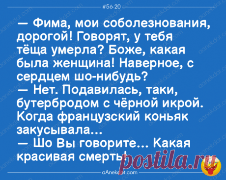 Еврейские анекдоты до коликов в животике