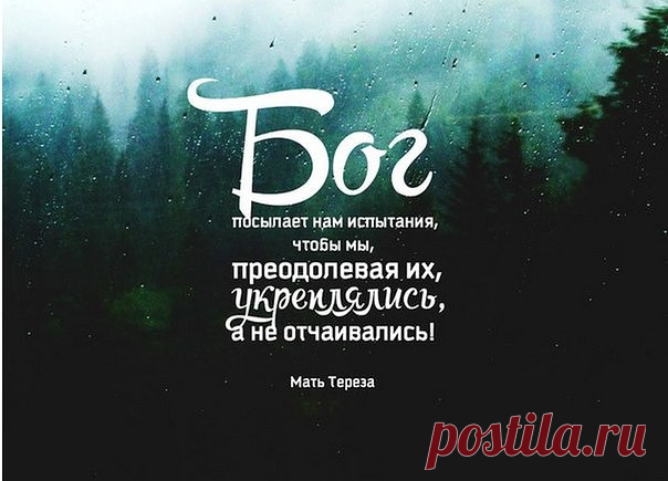 Бог посылает нам испытания,чтобы мы,преодевая их,укреплялись,а не отчаивались | Мир позитивных новостей