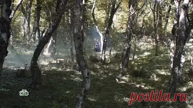 +Психолог