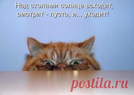 Надежда Надежда - Тверь, Тверская обл., Россия на Мой Мир@Mail.ru