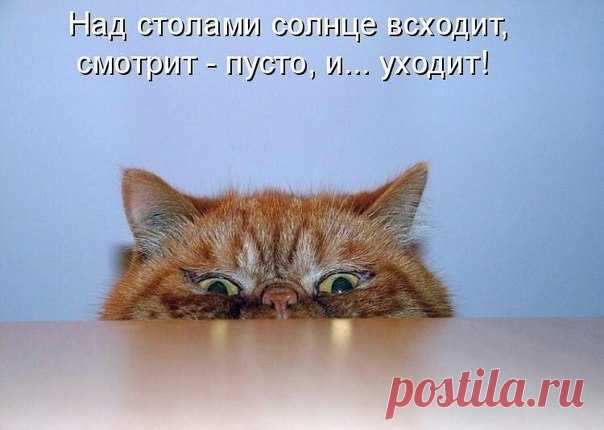 Надежда Надежда - Тверь, Тверская обл., Россия на Мой Мир@Mail.ru
