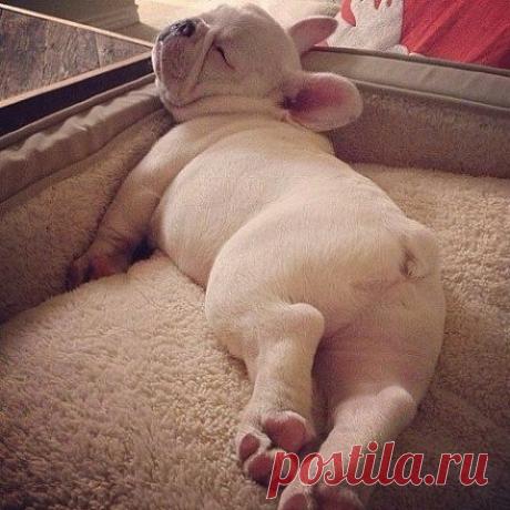 ЛИЛИЯ СОЛОМКА
38 лет, Россия, Москва