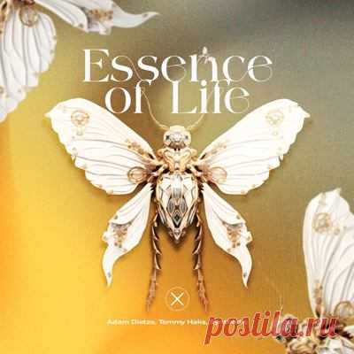 Tommy Haks, Adam Dietze, Synthodic - Essence of Life