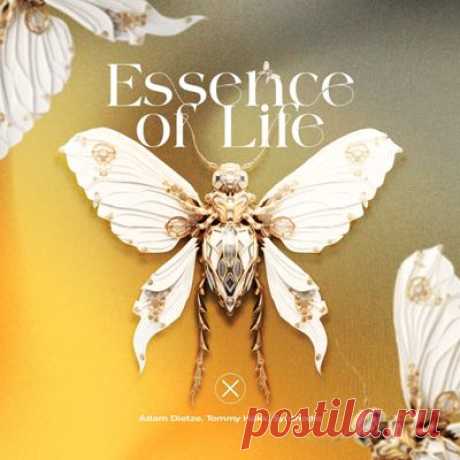 Tommy Haks, Adam Dietze, Synthodic - Essence of Life