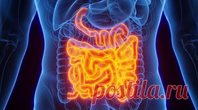 Профессор Бордин перечислил симптомы опухоли пищеварительного тракта. Заведующий отделом патологии поджелудочной железы, желчных путей и верхних отделов пищеварительного тракта, профессор, доктор медицинских наук Дмитрий Бордин перечислил симптомы опухоли пищеварительного тракта. Читать далее