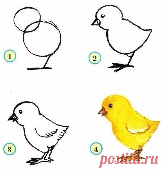 Как нарисовать птиц с детьми