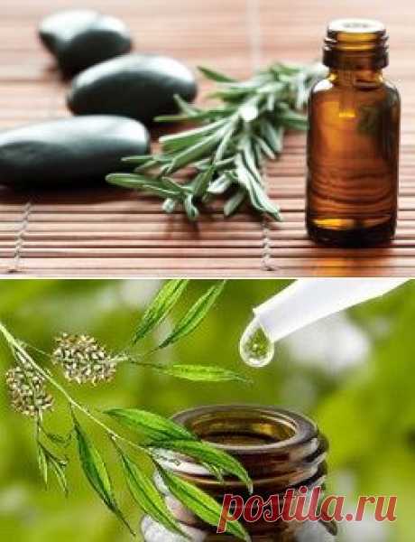 Масло чайного дерева и его применение для кожи лица