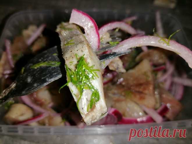 Селедку, приготовленную по этому рецепту подают в Кремле. Видео
Помните, как в СССР хозяйки готовили селедку очень просто — готовую рыбу резали на кусочки, не извлекая хребет, поверх выкладывали лук и заливали растительным маслом. Так селедку подавали в обычных советских семьях, а вот в высших слоях общества слабосоленую селедочку подавали совершенно по-другому. Впервые такую селедку моя мама попробовала такую селедку в одном из ресторанов. […]
Читай пост далее на сайте. Жми ⏫ссылку выше