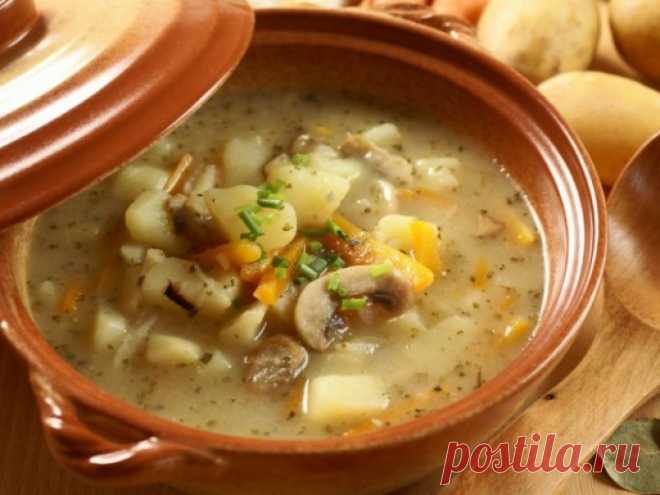 ​Суп с фасолью, грибами и мясом — Sloosh – кулинарные рецепты