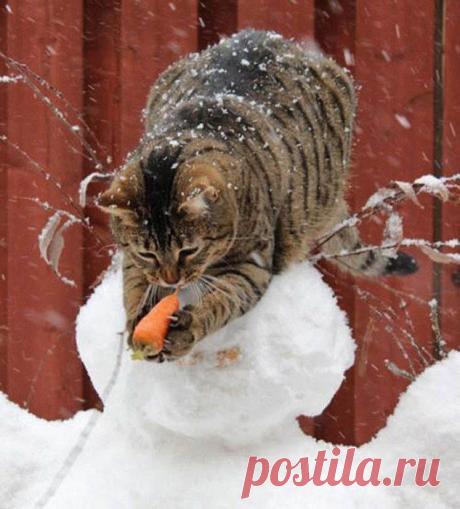 Блин!! А сверху - на мясо смахивало....