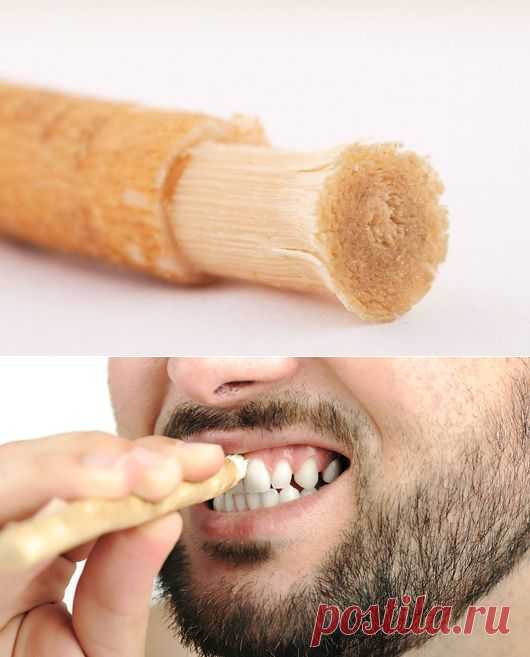 Зубные палочки вместо щетки