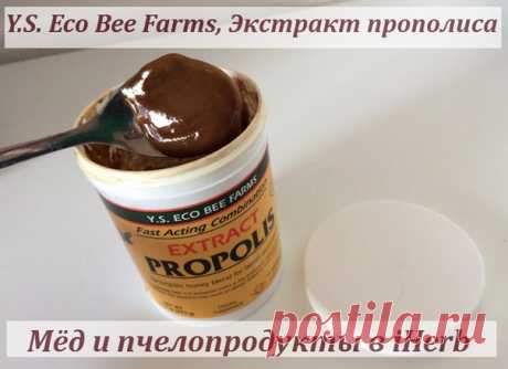 Экстракт прополиса Y.S. Eco Bee Farms (323 г) в iHerb
https://iherb.co/33oDphx1
Медовая паста с экстрактом прополиса для вашего здоровья.
Благодаря гармонично сбалансированному природному составу имеет уникальные лечебные свойства и применяется как иммунномодулирующее, антибактериальное, противовоспалительное и противовирусное средство, считается одним из лучших снадобий от множества недугов и помогает справиться с авитаминозом и упадком сил.
Показать полностью…