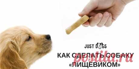 Как сделать собаку «пищевиком» 

Хозяева собак часто жалуются, что собака не интересуется лакомством и с дрессировкой из-за этого масса проблем. Есть, конечно, управа и на таких собак. Можно использовать поощрение игрой, или дрессировать «на механике». Но если честно у меня такой проблемы на занятиях никогда не возникало.
Показать полностью…
