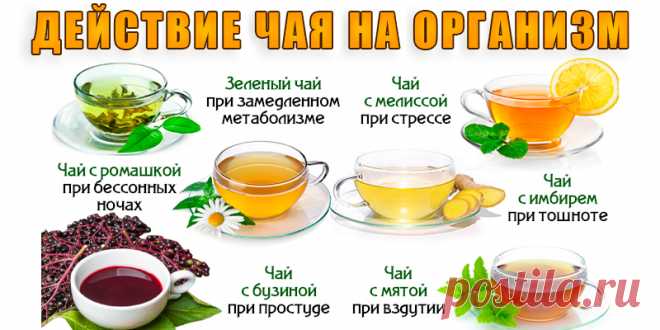 Действие чая на ваш организм | Полезные советы