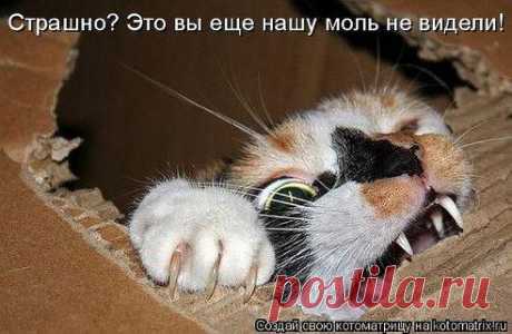 Евгений Заботин - Минусинск, 30 лет на Мой Мир@Mail.ru