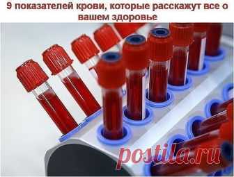 Сохраните, чтобы не потерять!
9 показателей крови, которые расскажут все о вашем здоровье.
Итак, что же говорит нам наша кровь? Анализ крови мы сдаем практически при любом заболевании. И грамотный врач непременно отправит вас первым делом “на кровь”. Для общего анализа кровь берется или из вены, или из пальца. И первичный анализ можно сдавать не натощак. Но для развернутого есть нельзя ни в коем случае! Помните это!
Причина такого требования проста: любая пища изменит ваш ...