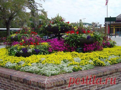 Создание цветника, не хитрые правила. - Садоводка