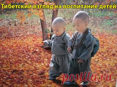 (80) Одноклассники