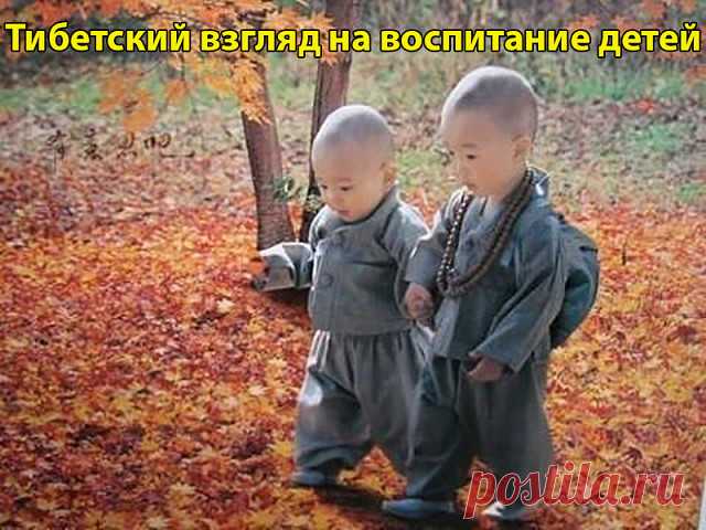 (80) Одноклассники