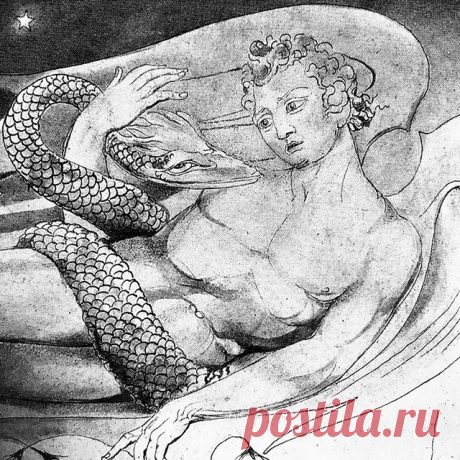 William Blake, Satan, illustration for Paradise Lost #biancoenero #satana #blancoynegro #diablo #noiretblanc #diavolo #blackandwhite #satan #devil #milton #paradise #lost #poetry #poesia #paradiselost #williamblake #illustration #illustrazione #dessin #disegno #drawing #diseño #instaartist #artstagram #instaart #serpente #serpent #snake #artist #uk