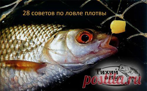28 советов по ловле плотвы | НА РЫБАЛКУ !!!!