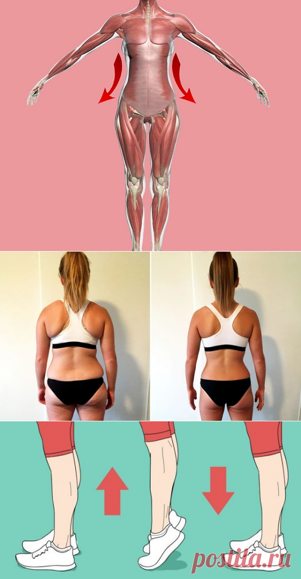 6 минут для похудения: гимнастика военного врача — Калейдоскоп событий