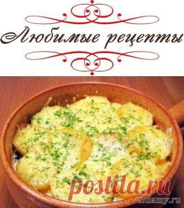 Запеканка с грибами и картофелем &raquo; Любимые рецепты