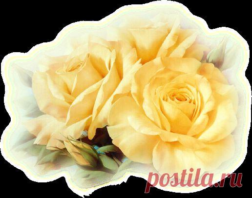 Цветочные композиции PNG ..