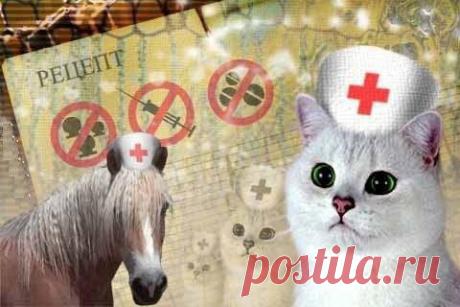 Усатые и полосатые «доктора» | Статьи | Animal.ru
