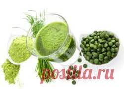 Спирулина – полезные свойства и противопоказания.