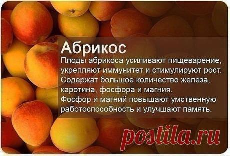 Бесплатный Он-лайн Семинар -Как Сохранить и Укрепить Свое Здоровье-