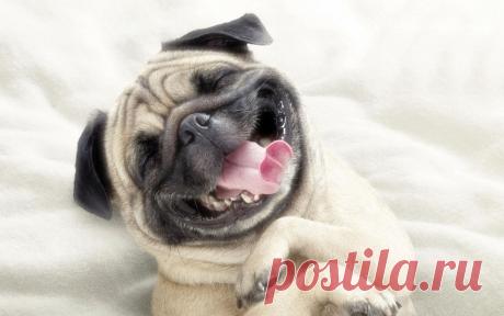 релакс смысл слова: 7 тыс изображений найдено в Яндекс.Картинках