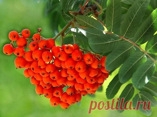 Осеннее равноденствие в сентябре 2019 года: приметы и ритуалы С осенним равноденствием связано много примет и ритуалов, о которых мы ежегодно вспоминаем. Сентябрь 2019 года — не исключение из этого важного правила.