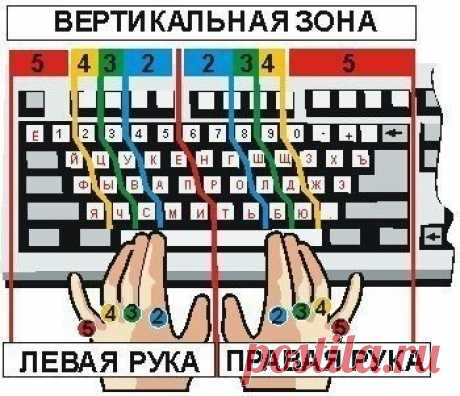 Как научится печатать "вслепую"

В наш век технического прогресса уже никого не удивишь наличием домашнего ПК или ноутбука, что уж говорить о коммерческих компаниях и государственных учреждениях, для работы в которой нужны навыки не только быстрой печати, но и печати вслепую.

Думаю, Вы не раз созерцали грустную ситуацию, когда администратор или секретарь усердно пытаются отыскать очередную букву на клавиатуре. Вам же приходиться лишь скрипеть зубами и ждать сего "чуда" ли...