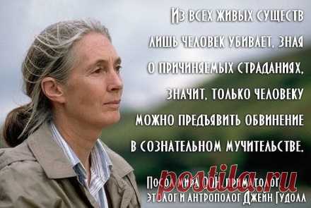 Женщина увидела щенка, лежащего на обочине. Она подумала, что он попал под колеса авто, но правда поразила всех