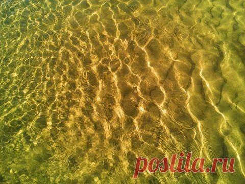 Отдых на Волге- Природный Волго-Ахтубинский Заповедник - Коса на Тумаке / Репортажи / Моя Планета