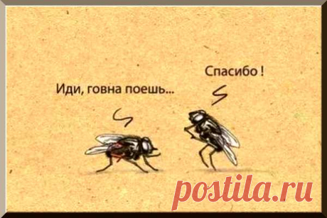 +