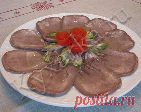 ЗАЛИВНОЙ ЯЗЫК.