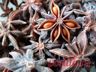 Полезные свойства бадьяна (аниса) для здоровья Бадьян – небольшое, вечнозеленое тропическое растение, которое дарит миру ароматную специю с одноименным названием. Родиной бадьяна является Китай, хотя повстречать его можно и в Японии, и в Индии, и ...