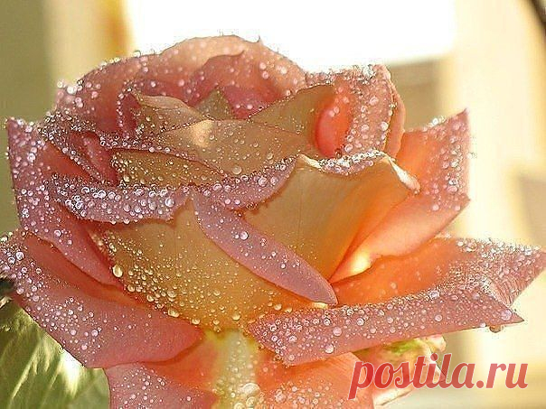 ᴼᴿᴵᴳᴵᴺᴬᴸ   SМАЙЛИКИ   (ړײ)